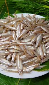 รูปวัตถุดิบ