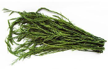 รูปวัตถุดิบ