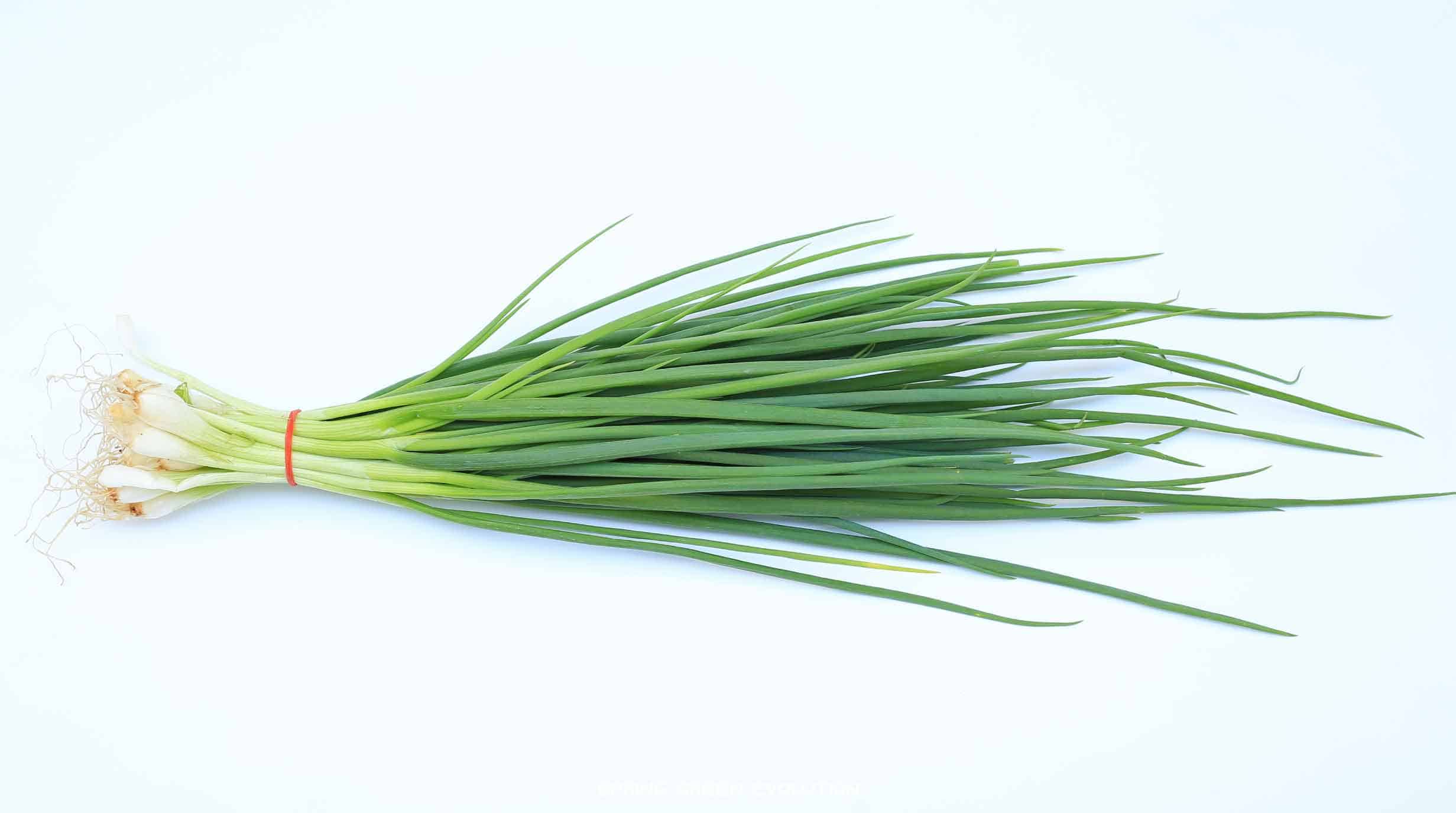 รูปวัตถุดิบ